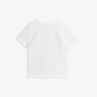 Dolphins T-Shirt