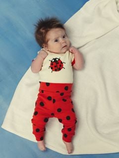 Ladybug Body