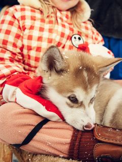 Alpine flowers fleece trousers