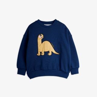Dino application sweatshirt