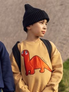 Dino application sweatshirt