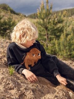 Mammoth chenille sweatshirt