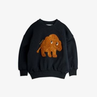 Mammoth chenille sweatshirt