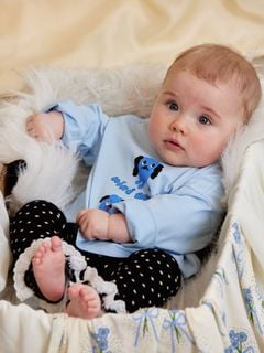 Doggies Long Sleeve T-Shirt