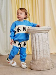 Panther Panel Sweatshirt