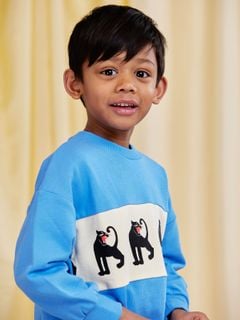 Panther Panel Sweatshirt