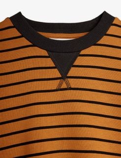 Close-up of a brown striped sweatshirt featuring a ribbed neckline and a decorative triangle stitch detail.