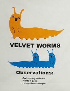 Close-up of the Velvet worm print featuring orange and blue worm illustrations and text on an off-white tote bag.