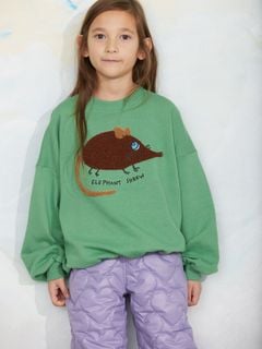 Green sweatshirt with an elephant shrew chenille application on the front, worn by a child.