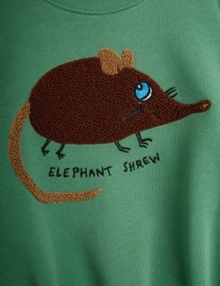 Brown chenille elephant shrew application with embroidered lettering on a green sweatshirt.