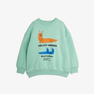 Light green organic cotton sweatshirt featuring a Velvet worms observations print and ribbed trims.