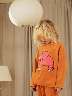 4 Elephants Velour Sweatshirt