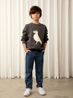 Pigeon Sweatshirt Grey