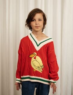 Pelican Knit V-Neck Sweater