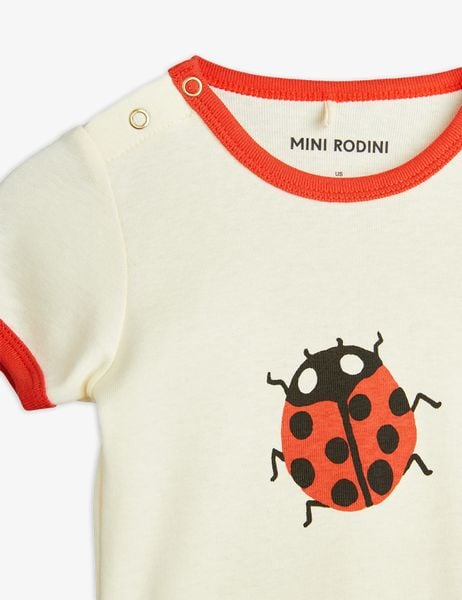 Ladybug Body