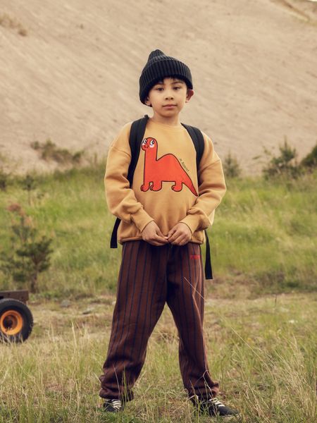 Dino application sweatshirt