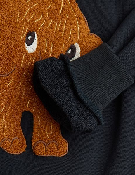 Mammoth chenille sweatshirt