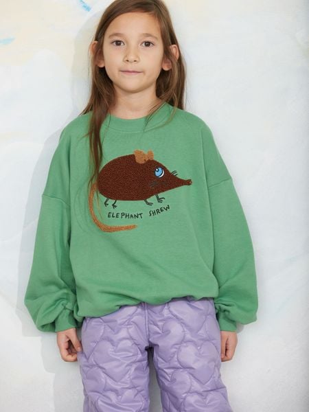 Green sweatshirt with an elephant shrew chenille application on the front, worn by a child.