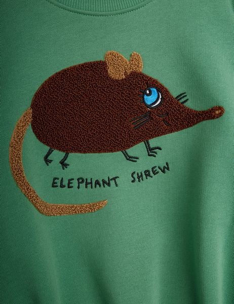 Brown chenille elephant shrew application with embroidered lettering on a green sweatshirt.