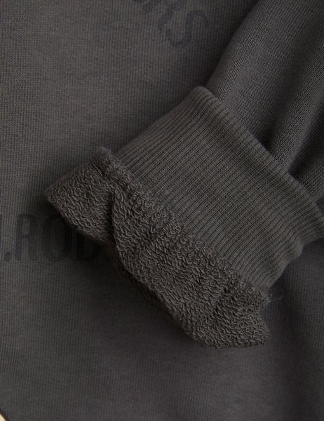 Pigeon Sweatshirt Grey