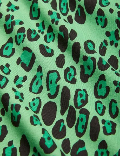 Leopard Long Sleeve Dress