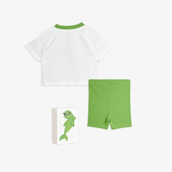 Dolphin sp baby kit