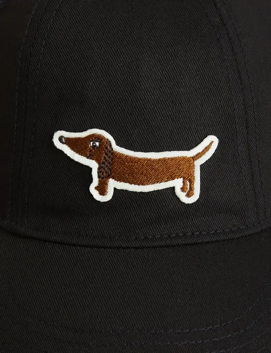 Dog embroidered cap