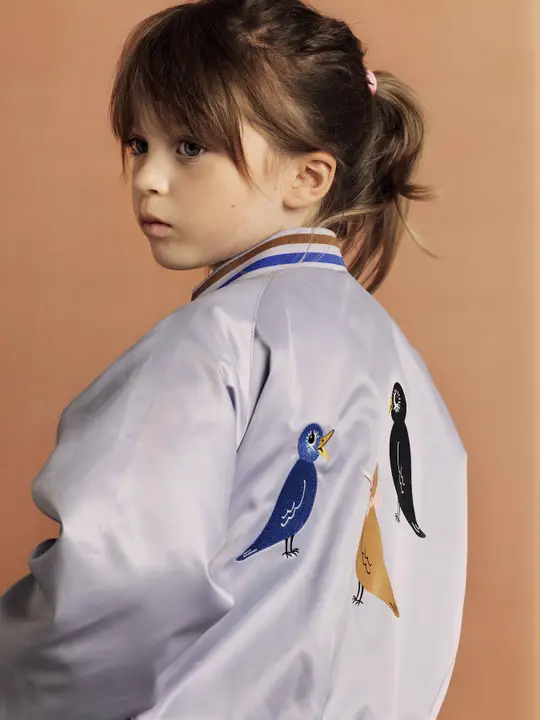 Birds baseball jacket