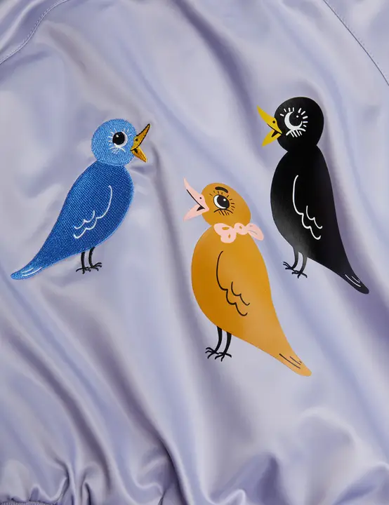 Birds baseball jacket