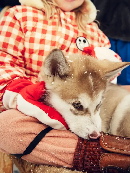 Alpine flowers fleece trousers