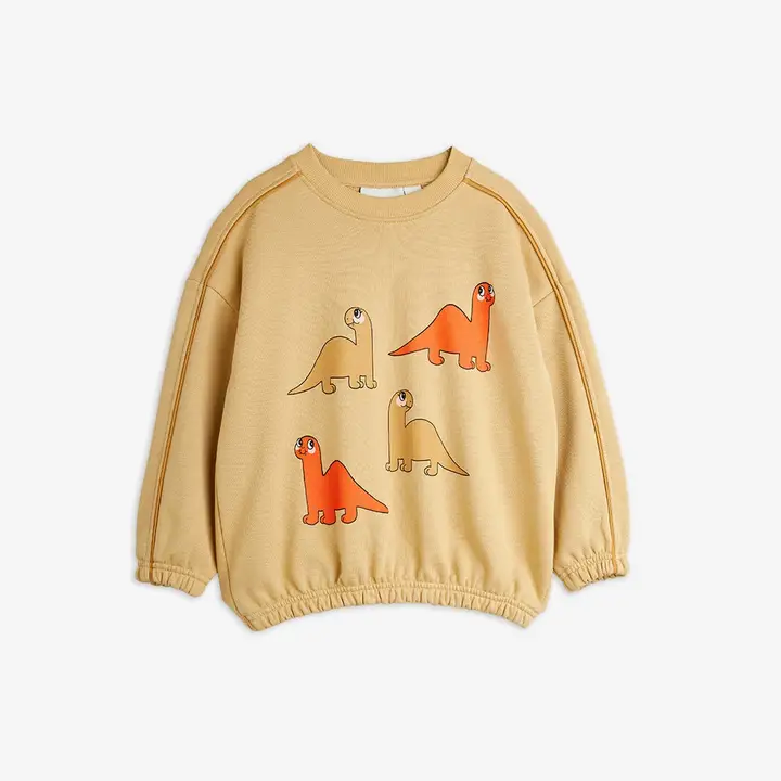Dino sweatshirt