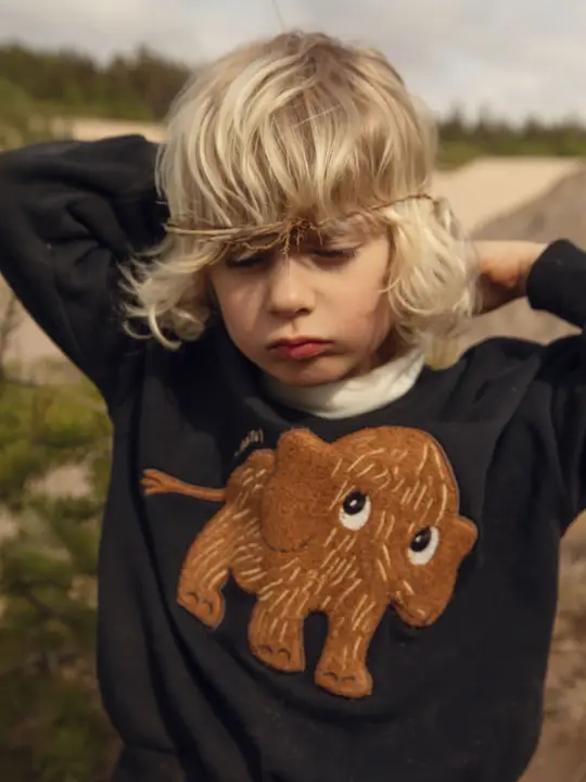 Mammoth chenille sweatshirt