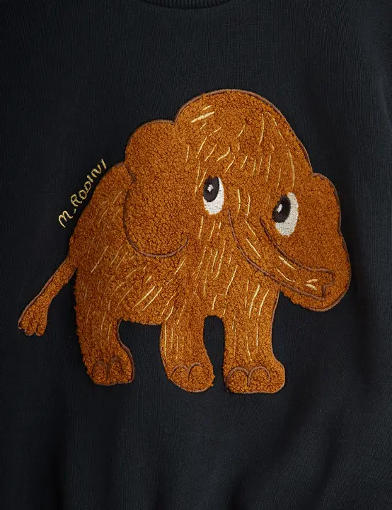 Mammoth chenille sweatshirt
