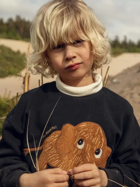 Mammoth chenille sweatshirt