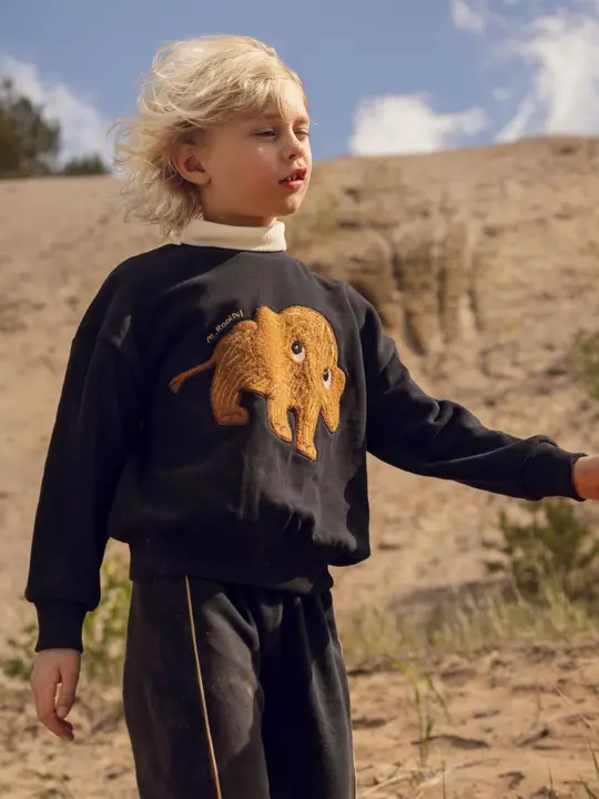 Mammoth chenille sweatshirt