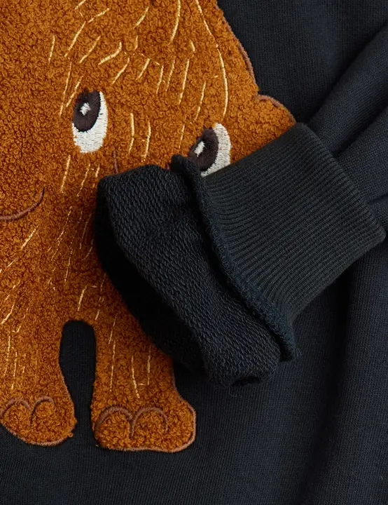 Mammoth chenille sweatshirt