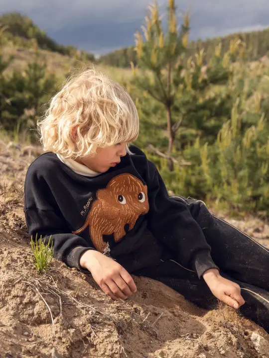 Mammoth chenille sweatshirt