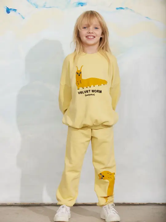Velvet worm sweat set