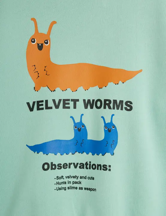 Velvet worms observations sweatshirt