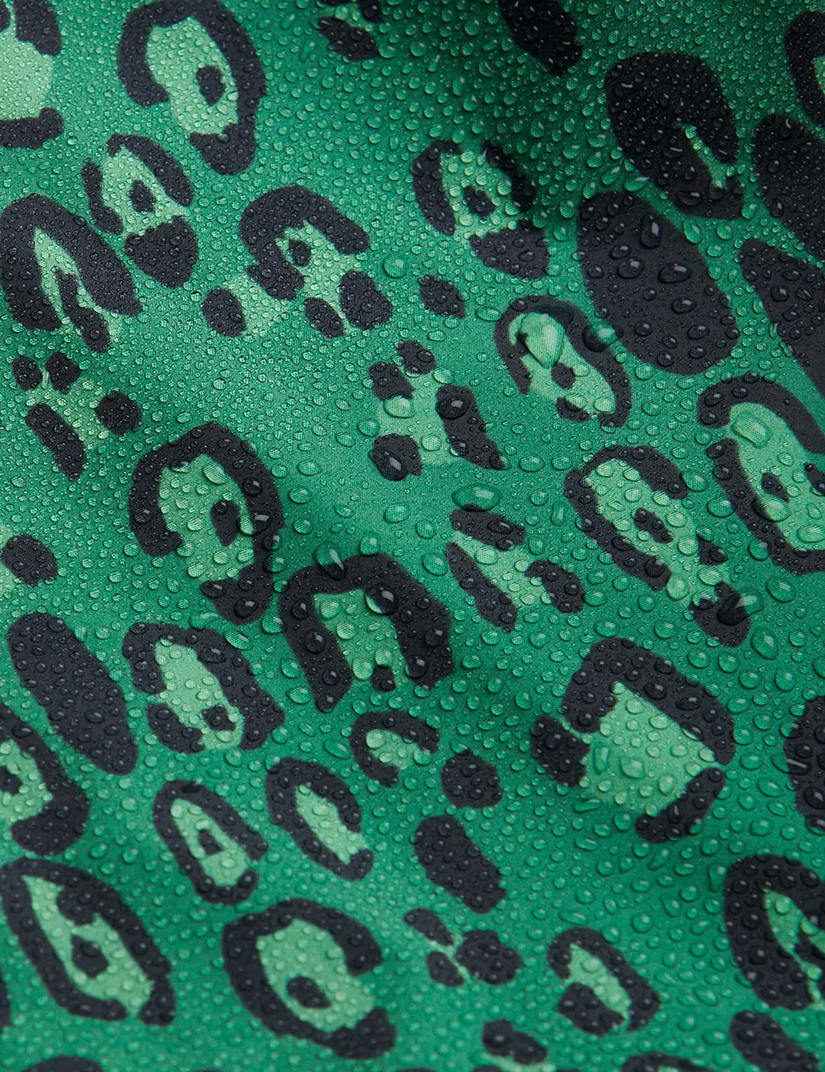 Edelweiss jacket Green-image-3