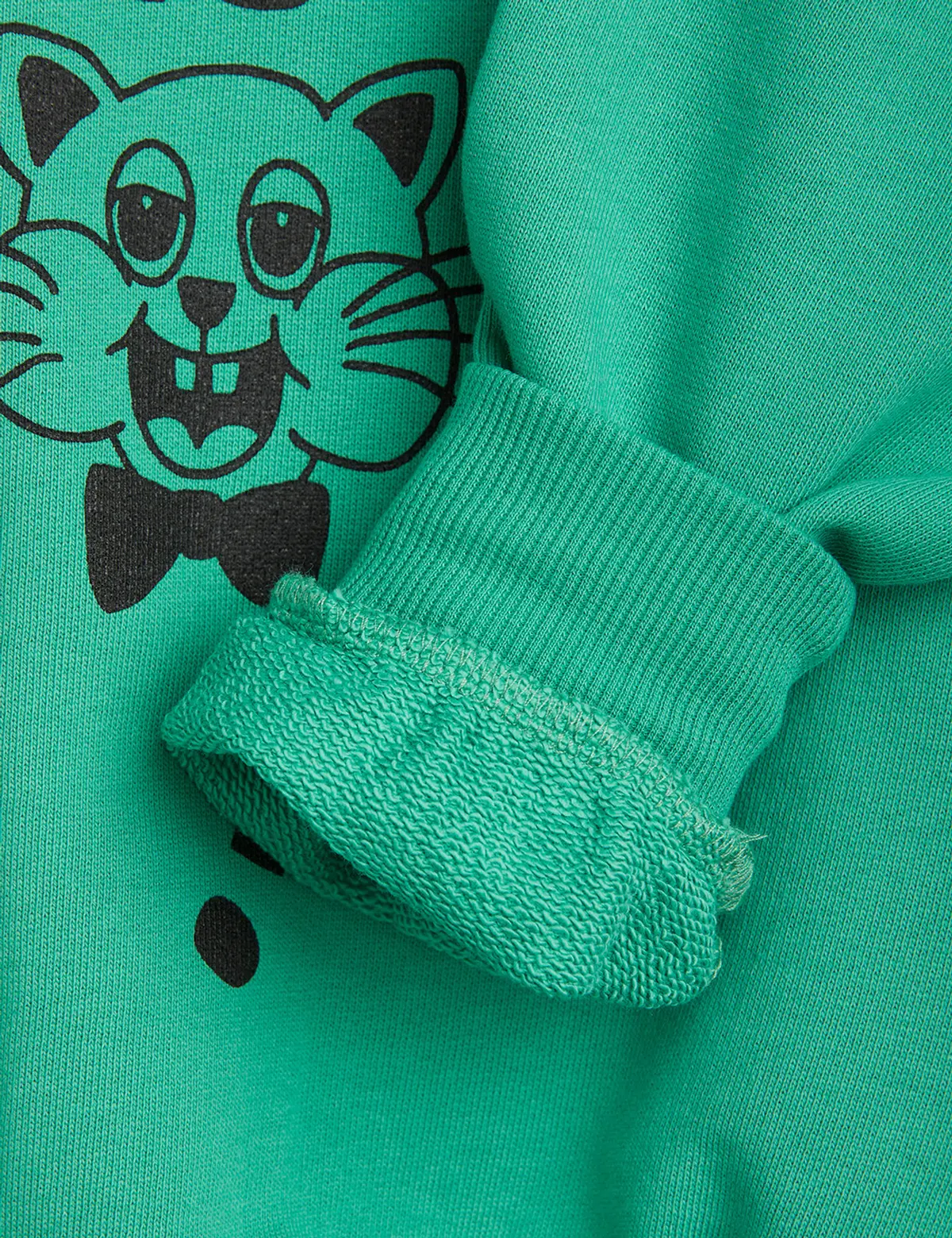 It's Fun Being Two Sweatshirt-image-3