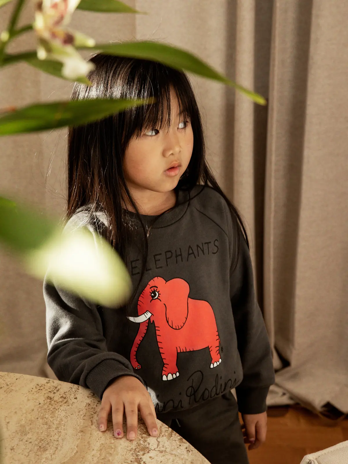 4 Elephants Kids Sweatshirt Grey | Mini Rodini