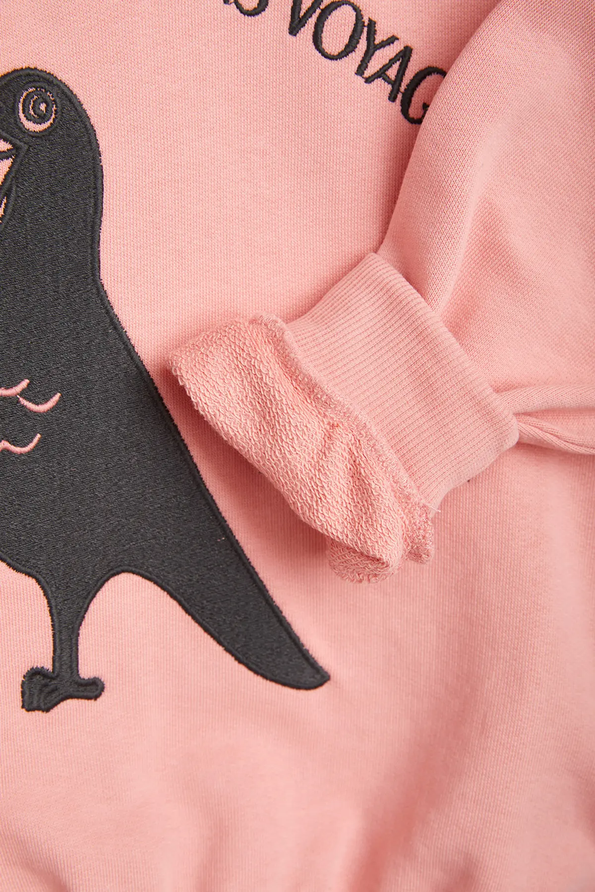 Pigeon Embroidered Sweatshirt-image-3