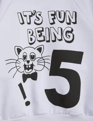 It's Fun Being Five Sweatshirt-image-2