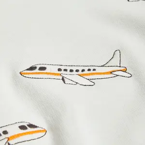Airplane Embroidered Sweatshirt-image-2