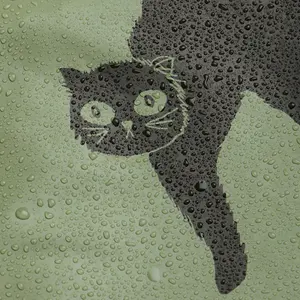 Catz Rain Trousers-image-2